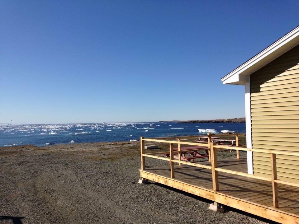 Oceanside Cabins Bonavista Exteriör bild
